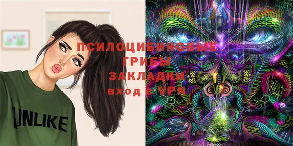 МДПВ Верея