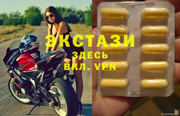 гашик Вяземский